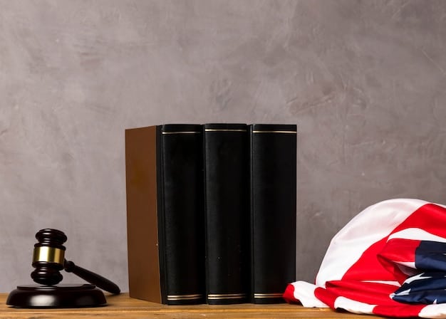 A gavel resting on a stack of law books with an American flag in the background, representing the legal and judicial aspects of immigration policy changes. The lighting should be serious and authoritative.