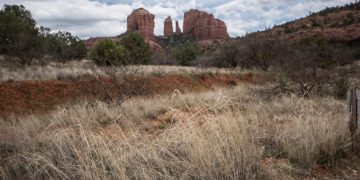 Climate Change News: US Faces 2-Degree Temperature Rise by 2050 - Cover Image