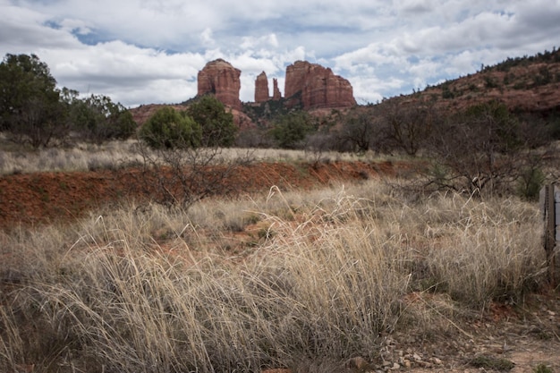 Climate Change News: US Faces 2-Degree Temperature Rise by 2050