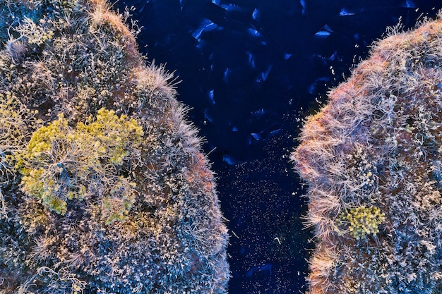 A before-and-after split image showcasing the impact of rising temperatures on a coral reef. The 