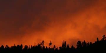 US Wildfires: Preparing for a 20% Increase by 2026? - Cover Image