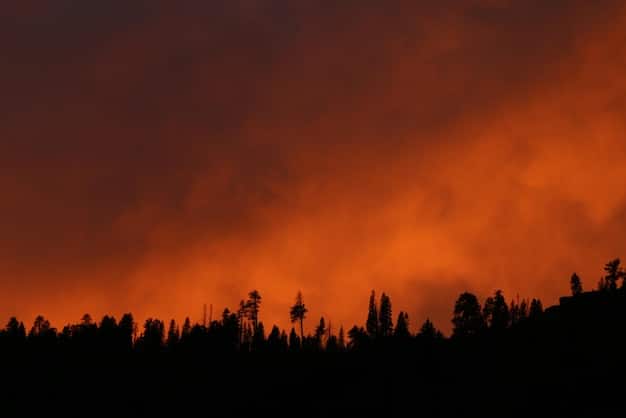 US Wildfires: Preparing for a 20% Increase by 2026?