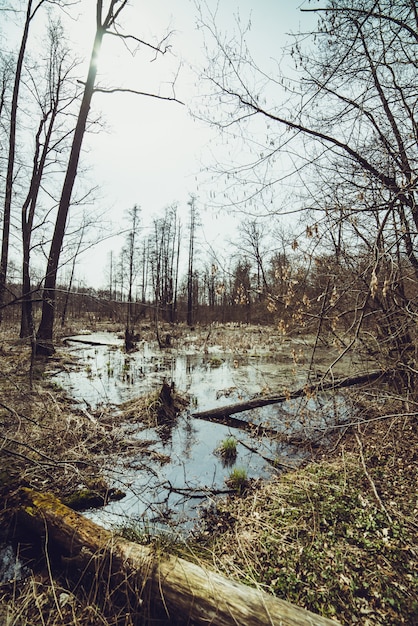 An impactful photograph of a community affected by a climate-related disaster (e.g., flooding, wildfire), contrasted with a community powered by solar panels and wind farms, symbolizing the consequences of inaction versus the benefits of renewable energy adoption.