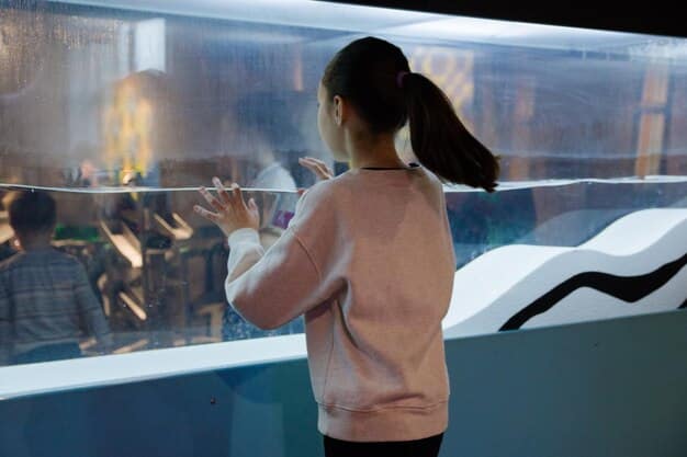 AI’s Impact on US Graduation Rates by 2027: A Deep Dive