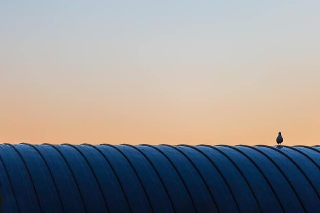 US Government Solar Incentives 2025: What You Need to Know