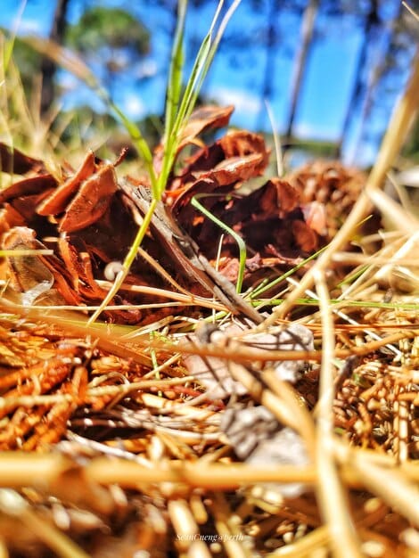 The Ultimate Guide to Composting for Waste Reduction & Soil Enrichment
