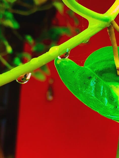 Water Conservation Tips: Save Up to 20% on Your Water Bill This Year