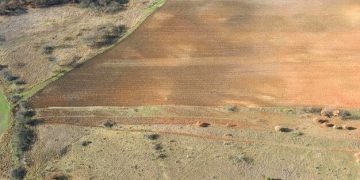 Climate Change's Impact on US Agriculture: What Farmers Need to Know - Cover Image