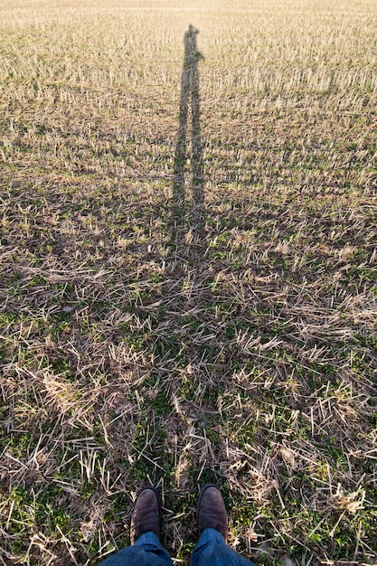 A farmer inspecting parched cornfields, with cracked earth visible between rows of stunted plants, under a clear, hot sky, symbolizing drought impacts.
