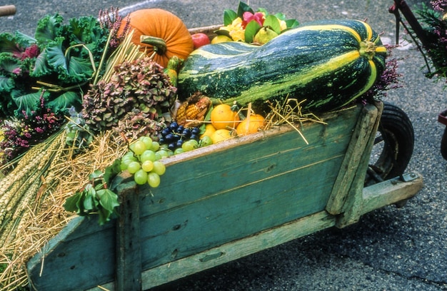 A vibrant, diverse array of fresh, unpackaged vegetables and fruits neatly arranged on rustic wooden crates at a bustling outdoor farmers' market.