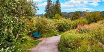 Sustainable Travel: Eco-Friendly Vacation Ideas & Tips - Cover Image