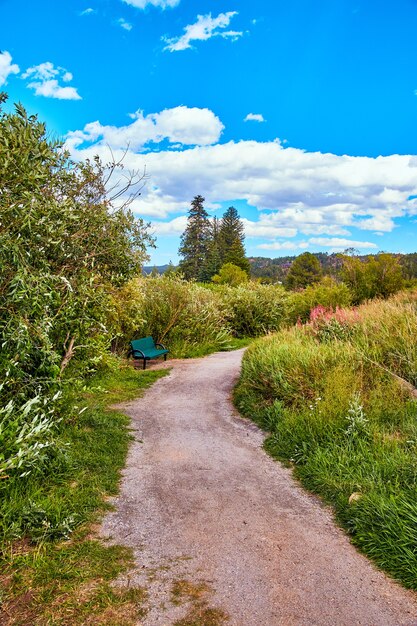 Sustainable Travel: Eco-Friendly Vacation Ideas & Tips
