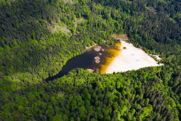 A drone's-eye view of a vast, healthy forest bordering a large, clear lake, with a bright sun highlighting the lush canopy, emphasizing natural carbon sequestration.