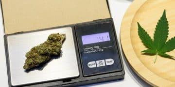 US Drug Policy Reform: Economic Impact of Marijuana Decriminalization - Cover Image