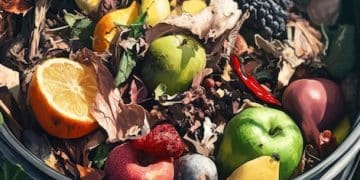 How US Households Can Cut Food Waste by 25% with Composting by 2025 How US Households Can Cut Food Waste by 25% with Composting by 2025 - Cover Image