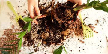 Composting: Benefits and Your 7-Day Start Guide Composting: Benefits and Your 7-Day Start Guide - Cover Image