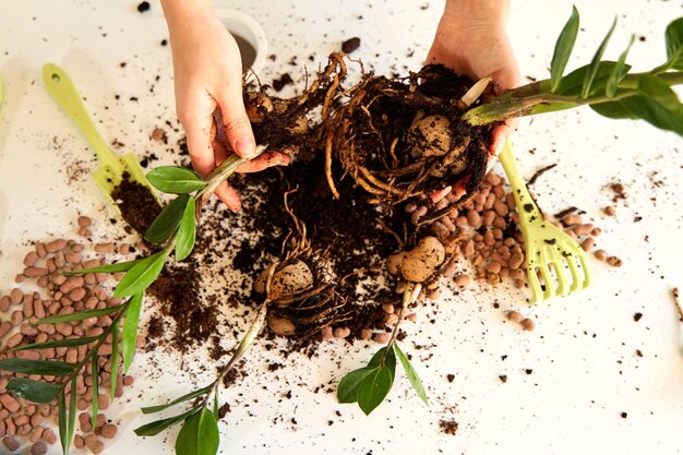 Composting: Benefits and Your 7-Day Start Guide