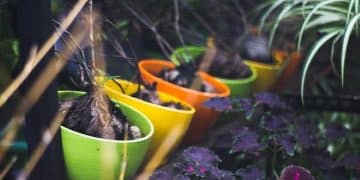 Sustainable Gardening in the US: Best Practices for Eco-Friendly Growth - Cover Image