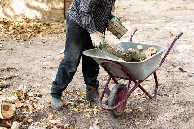 A gardener is sifting homemade compost into a wheelbarrow, with healthy vegetable beds in the background, demonstrating resourceful waste management.