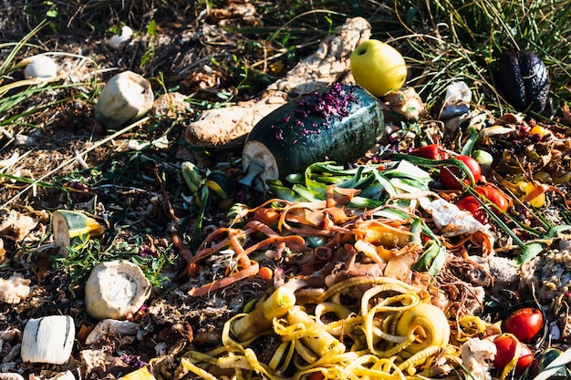 A photograph highlighting the environmental impact of food waste, showing a landfill filled with discarded food items. The landfill is vast, and the image portrays the problem of methane emissions. The picture emphasizes How Can US Households Reduce Food Waste by 25% in 2025 Using New Composting Techniques?