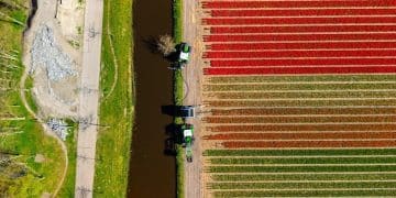 What Are the Projected Water Savings for US Farms Using Drip Irrigation? - Cover Image