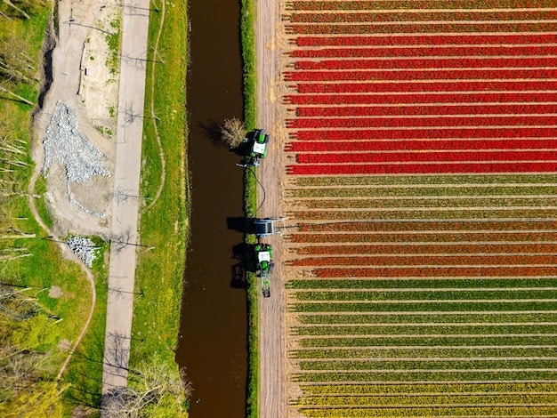 What Are the Projected Water Savings for US Farms Using Drip Irrigation?