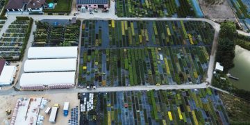 Navigating New EPA Regulations: A Guide to 2025 Sustainability for US Manufacturers Navigating New EPA Regulations: A Guide to 2025 Sustainability for US Manufacturers - Cover Image