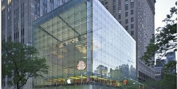 US Companies and Carbon Offset Programs: A 2050 Net-Zero Strategy? - Cover Image