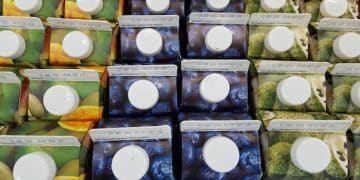 US Shoppers and Sustainable Packaging: 2025 Environmental Impact Comparison US Shoppers and Sustainable Packaging: 2025 Environmental Impact Comparison - Cover Image