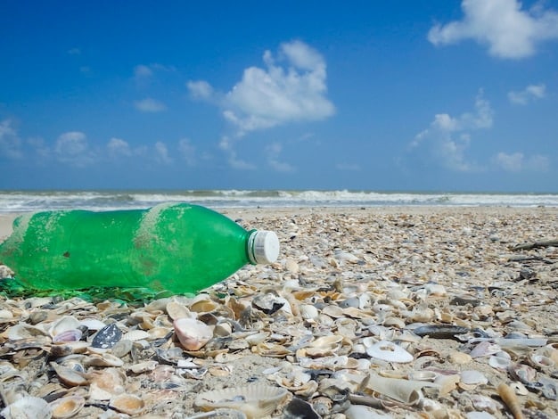 A photo depicting a polluted beach with plastic waste washed ashore contrasting with another image of a clean, eco-friendly packaging facility.