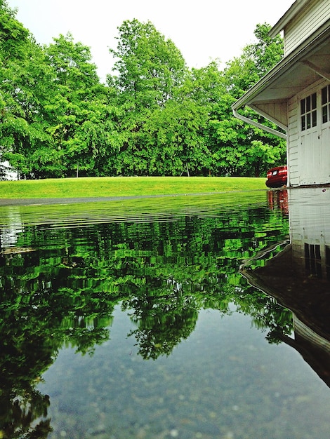 A lush green garden being watered by a rainwater harvesting system, with a house in the background. The scene conveys the environmental benefits of rainwater harvesting for US Homeowners: What are the Benefits of Installing a Rainwater Harvesting System in 2025?.