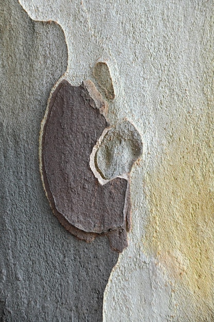A close-up shot of self-healing concrete with visible cracks being filled by a healing agent. The image highlights the innovative technology and the material's ability to repair itself, showcasing an answer to