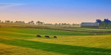 US Farmers: Regenerative Agriculture for Soil Health in 3 Years - Cover Image