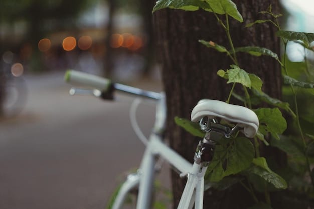 A close-up of a solar-powered electric vehicle charging station in a park, with a bicycle leaning against it. The background shows a blurred cityscape. This image illustrates the integration of renewable energy with sustainable transportation solutions and relates to the expansion of electric vehicle infrastructure as part of What are the Latest Government Initiatives Supporting Sustainable Transportation in US Cities in 2025?.