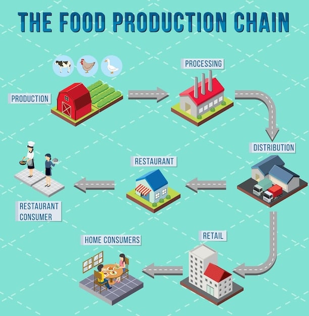 A detailed schematic or infographic showing various stages of a food supply chain, from farm to consumer, with arrows indicating flow and potential disruption points.